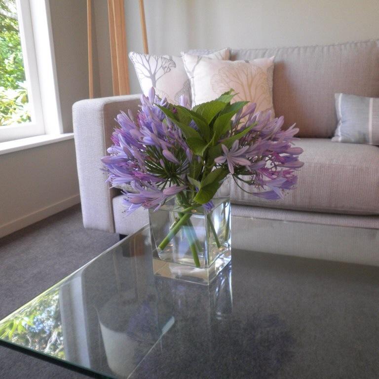 Firth Street Mews B&B Matamata Eksteriør billede